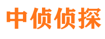 隆昌侦探公司